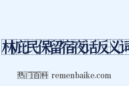 林庇民保留宿夜话反义词是什么意思的图片
